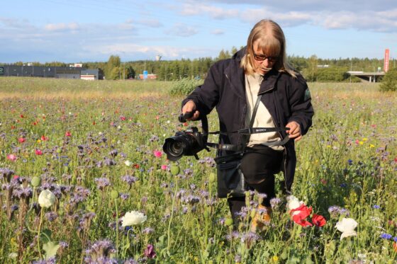 leena kilpeläinen, kuvaus, Maija Isola -dokumentti