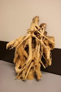 Mauno Suonpaan pahka