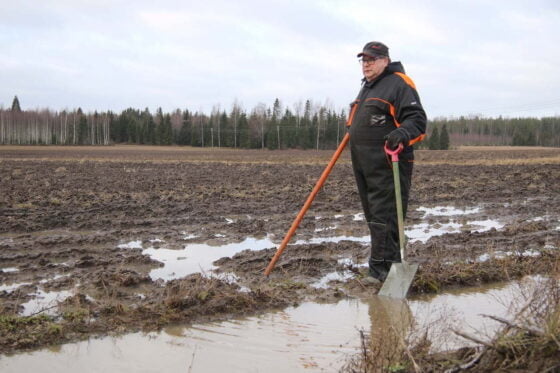 Heikki AALTONEN