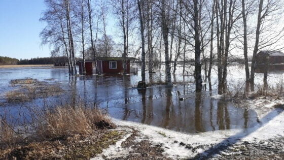Kokemäenjoki, tulva