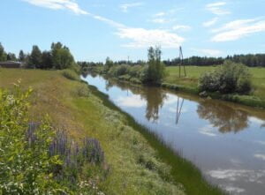 kesainen-joenranta