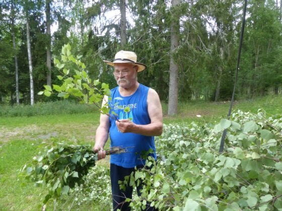 Mikko Rintala vihta valinta koivu koivunoksa