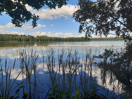 jarvi jarvimaisema maisema luonto vesi
