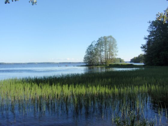 Sääksjärvi