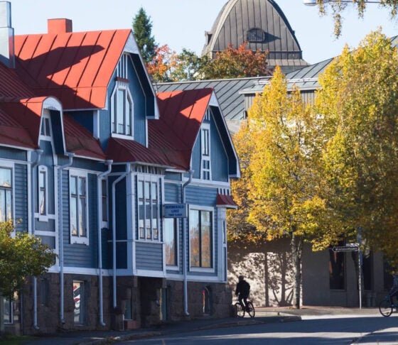 Kokemäki