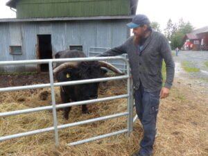 Orson_Ilkka Ekojarvi