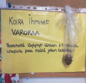 Koiran syotti