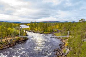 Lukijamatka silta