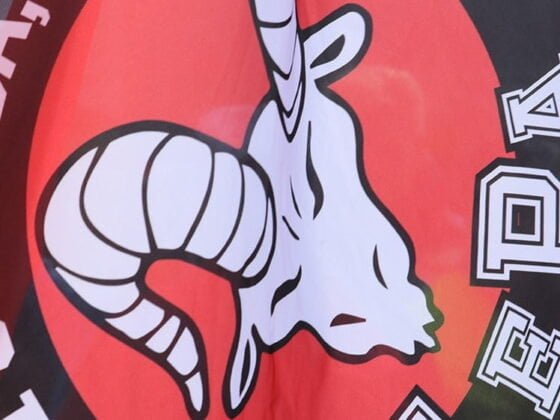 VaLePa, lippu, logo