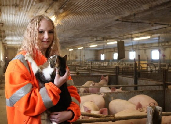 Salla Seppa maanviljelija sika possu sikala Kittilan tila