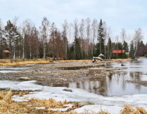 Kaukolan lohet Hartolankoski Pekka Nieminen veistos taideteos vesisto jarvi
