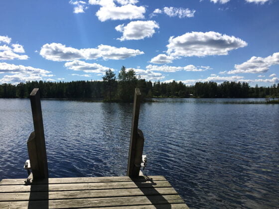 jarvi ranta vesi sinileva