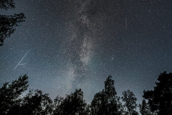 Tähdenlento, Kari Haila