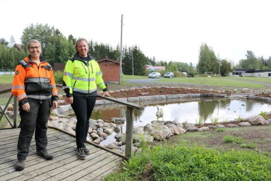Riihipuisto lampi Merja Kalliosalo Suvi Isosavi
