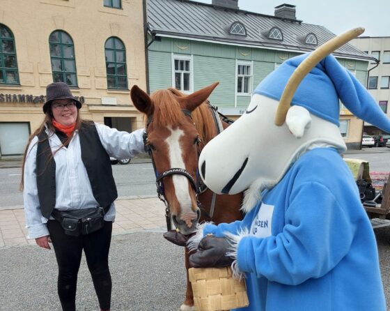 Herra Hakkarainen ja Kitka 2 (kopio)