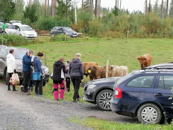 Ekojarven tila