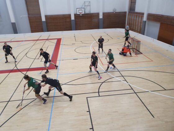 RoPo, salinbandy