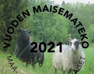 vuoden maisemateko