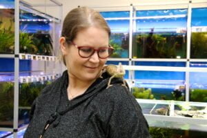 viljarshop