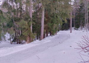 Valpurinkäytävä