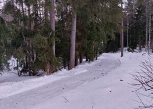 Valpurinkaytava