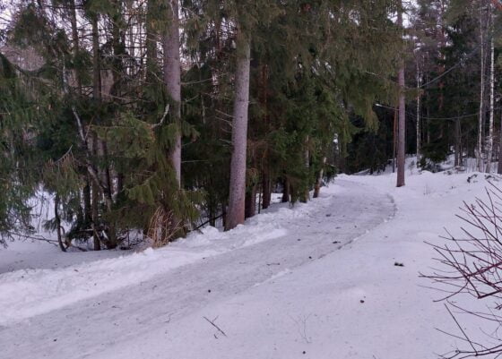 Valpurinkaytava