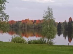 Jari Kaihlamäki: lukijan kuva