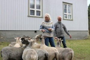 Villa Kalela, Sirpa, Jukka ja lampaat2