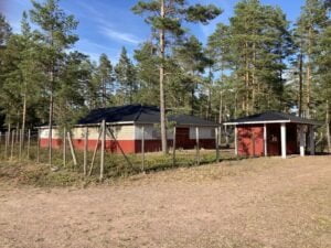 Pamauksen lava