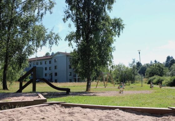 Hirvipuisto leikkivalineita