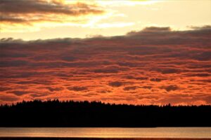 Taivaan tulet, Liekovesi, Petri Niittymäki