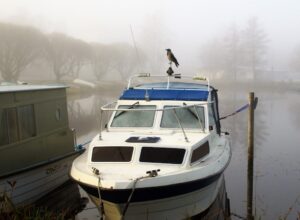 Variksen elämää, kuva Hannu Moilanen
