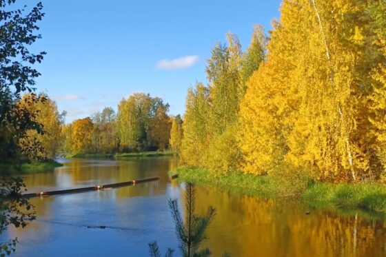 syksy luonto jarvi maisema