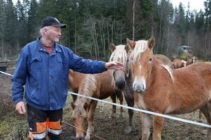 Esko Harkala nosto