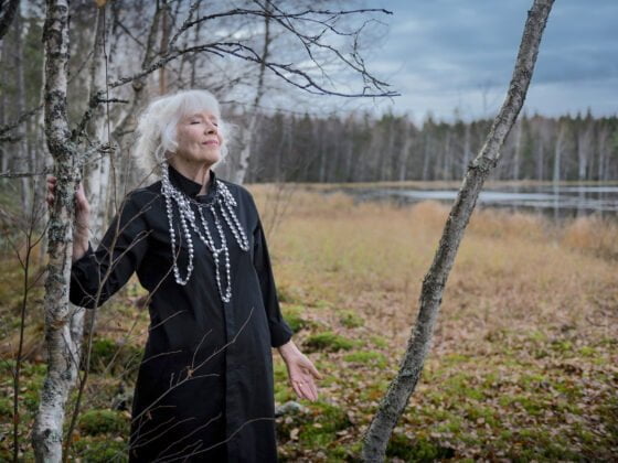 Funkkistalon näyttely, Anna-Liisa Nikus