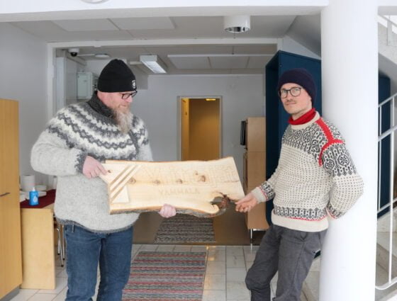 Antti Tolvanen ja Juuso Haapamäki, Vörkki,