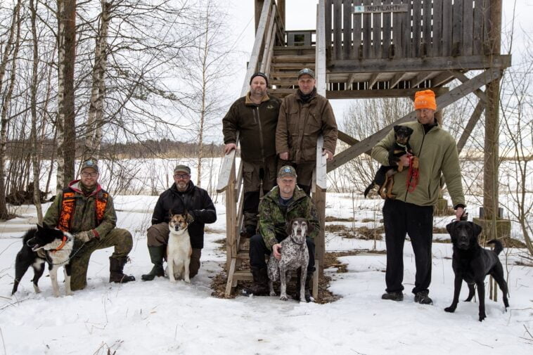Puurijärvien ja Isosuon kansallispuisto, pyynti, vieraspedot