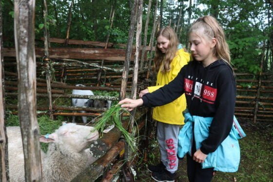 tytöt ja lammas