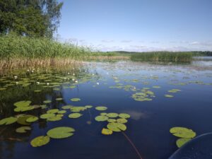 kiäppi järvimaisemaa
