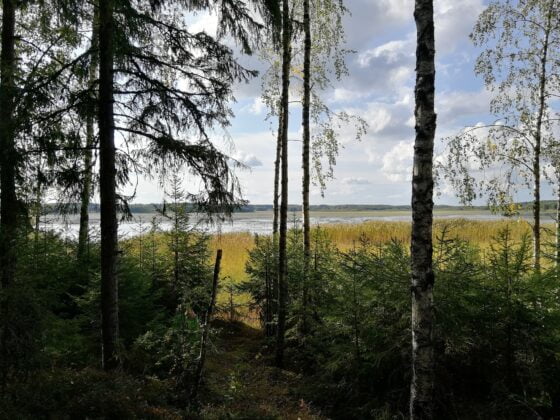 kuasman kiäppi järvi