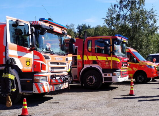 paloauto, Häijään Markkinat 2023