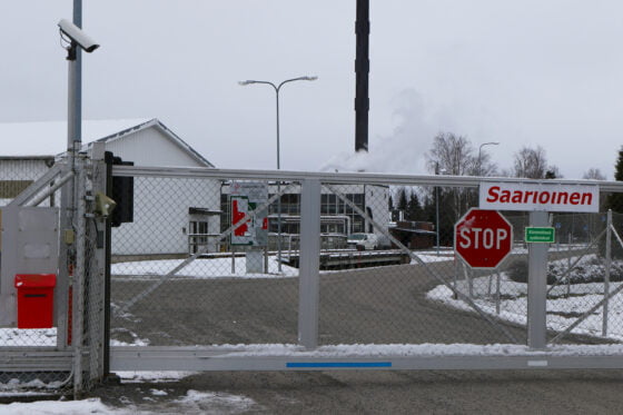saarioinen