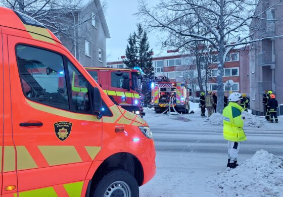 Puistokatu