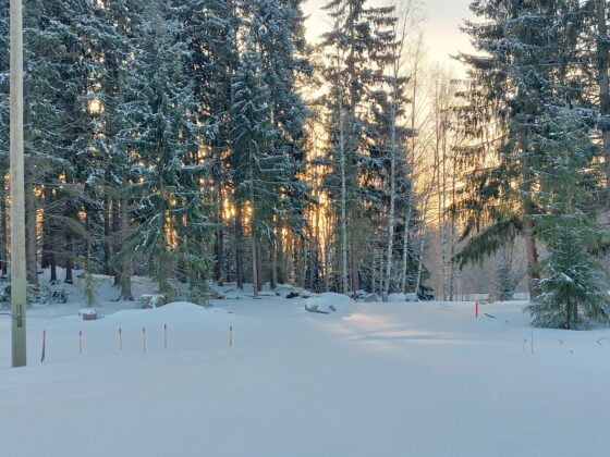 koirapuisto
