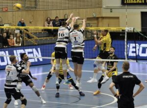 Tiikerit - VaLePa 14.2.2024