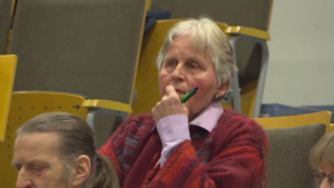 Maire Villo