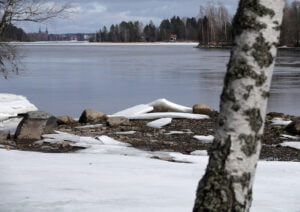 Kevätkuvia, Hannu Moilanen  (1)