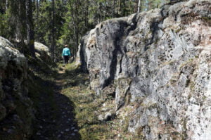 Suodenniemi 11.5.2024, kuva Hannu Moilanen