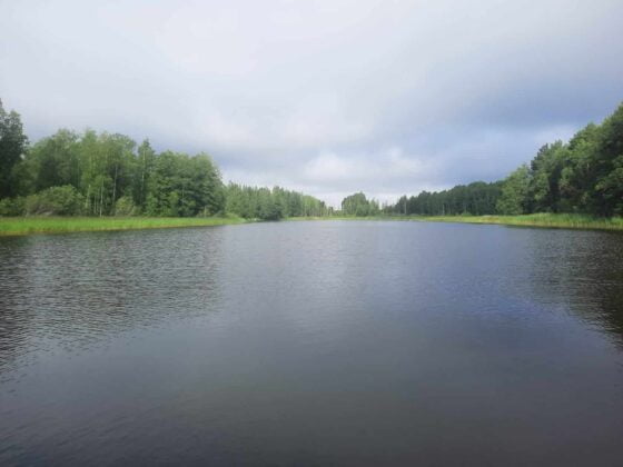 HOUHAJÄRVI avovesi