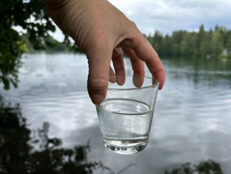 Sinilevä